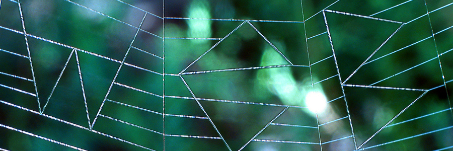 Internet service provider